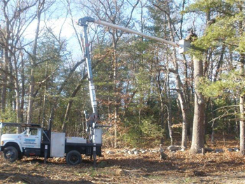 Bucket Truck used for Pruning
